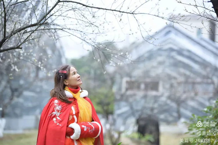 寒梅绽放,清香远溢,如雪如霜,值得欣赏,🌸🌸🌸